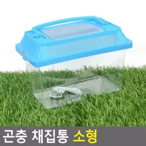 채집통 곤충채집통 곤충 곤충관찰채집통 투명곤충채집통 관찰 투명 소형