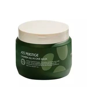 ATS 퍼스티지 카미시 올인원 마스크 500ml 헤어팩 트리트먼트 두피/모발케어