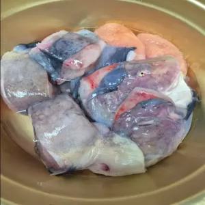 당일조업 생물 특대 물메기 손질후 1.5kg이상, 1마리