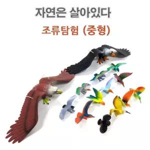 이종욱완구 자연은살아있다 조류탐험 (중형) 장난감 놀이 모형 학습용 교육용