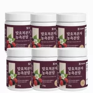 고창 복분자 분말 고농축 발효농축분말 가루 6통