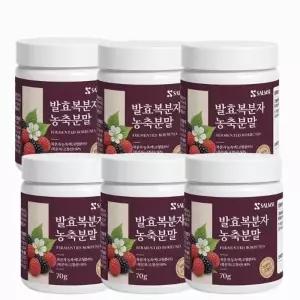 고창 복분자 분말 고농축 발효농축분말 가루 6통