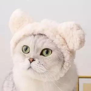 친절한탄씨 고양이모자 강아지모자 반려견 반려묘 귀여운 털모자 강아지모자 애견모자 강아지겨울옷