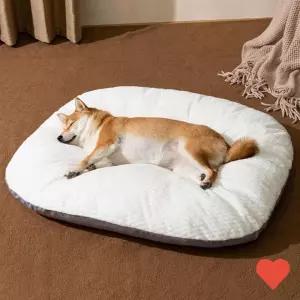 반려동물 거실 강아지 방석 쿠션 무중력 고양이 침대 애견