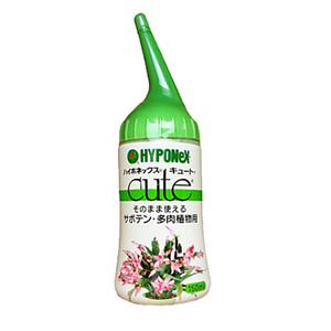 [모두싹판다]하이포넥스 큐트 150ml 만세 밍크 선인장 용신목 다육이 웃자람 방지 스투키 야생화 난 식...