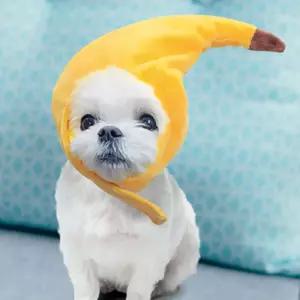 보따리라운지 강아지 고양이 바나나 모자 애완견용품