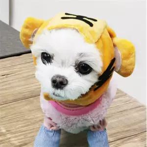 보따리라운지 강아지 고양이 호랑이 강아지 모자