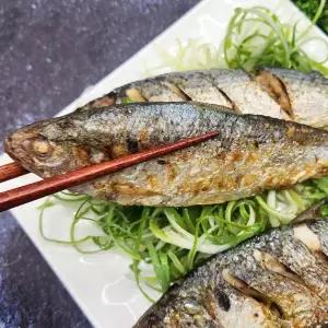 [롯데백화점]인정식탁 (춘백이어부장터) 삼천포 자연산 구이용 전어 500g (4-5미 내외)