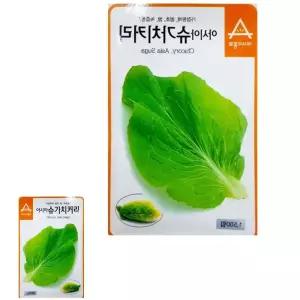 뮤 쌈용 치커리 씨앗 슈가치커리 단맛 종자