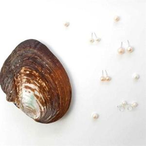 진주 귀걸이 만들기 키트 조개 진주 귀걸이 diy 담수 수공예 이어링 재료 핸드메이드 액세서리 공예용