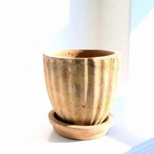 칼라데아화분 선인장화분 17x15 받침 토분
