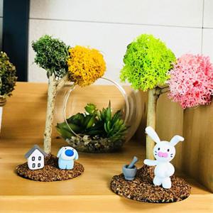 (TD) 스칸디아모스 그늘아래- 5인세트