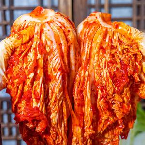 가성비 최고 시원하고 깔끔한 서울식 왕실김치 (5kg, 10kg)