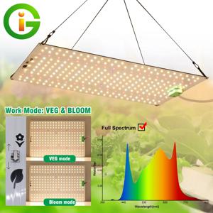 풀 스펙트럼 LED 식물등 LM281B 다이오드 LED 햇빛 유사 퀀텀 성장등 온실 수경재배 식물 성장 조명