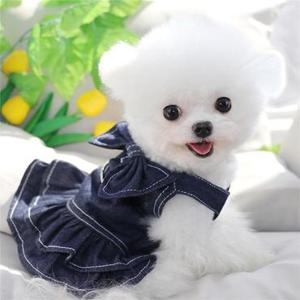 [펫 후크] 강아지하네스원피스  청치마 청자켓 커플룩