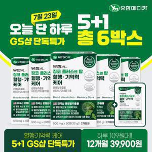 [12개월분] 5+1 유한 징코 플러스 엔 탑 혈행 기억력 케어 60정 5박스+1박스(총 6박스)