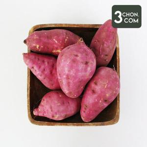 [삼촌밥먹자] 달콤한 세척 꿀 밤고구마 왕특 5kg