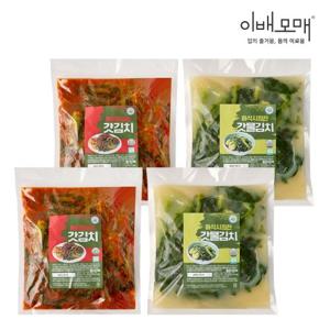 이배모매 김치장인 여수 돌산 갓김치 2kg+갓 물김치 2kg