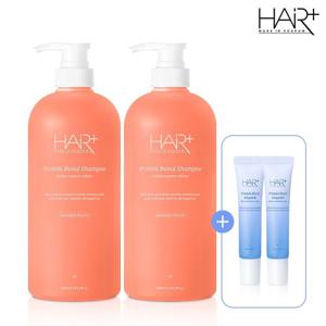 [헤어플러스] [2+2] 단백질 본드 퍼퓸 샴푸 모던피치 향 1000ml 2개 + 단백질 앰플 15ml 2개 증정