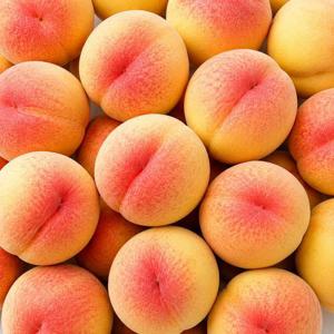 갤러리아_아삭달콤한 고당도 말랑 딱딱이 털복숭아 4kg 중과 19-22과 내외