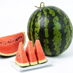 제철과일 프리미엄 고당도 하우스 꿀수박 특품 6.0kg 이상