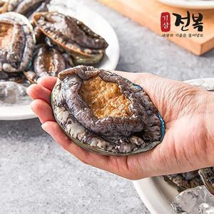 [기삼전복] 특특대 산지직송 활전복 10미(미당 140g 이상)