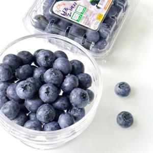 무농약 영동블루베리 생과 특대 200g(16mm 이상)