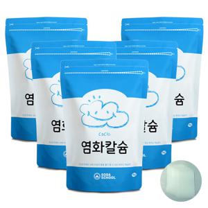 염화칼슘1kg 5개+방수투습지8장