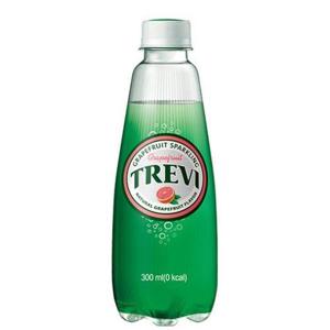 트레비 자몽 300ml 20개