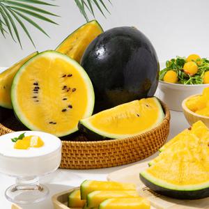 [더조은] 제주직송 블랙망고 수박 (2-4kg 내외) 2입