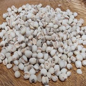 국산율무400g 잡곡의왕 25년산 당뇨에 좋은 피부미용 [단의잡곡]