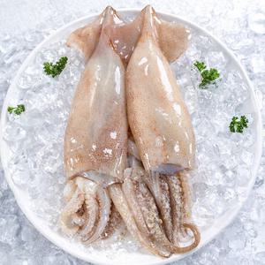 자연산 손질 통오징어 4마리 350g x 2팩 (깨끗손질/간편조리)