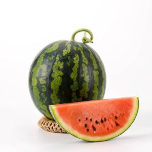 [더자인] 제철 고당도 노지 수박 가정용 6-7kg
