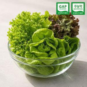 [APP전용] 친환경 GAP 무농약 부여 유러피안 샐러드 채소 1kg 800g 550g