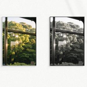 원본 & 흑백 유럽 풍경 빈티지 인테리어 포스터 액자 : 27 Forest Window