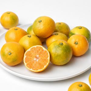 [시즌오픈] 제주직송 하우스감귤 2kg / 3kg / 5kg 산지에서 바로배송