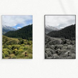 원본 & 흑백 유럽 풍경 빈티지 인테리어 포스터 액자 : 37 Georgia Forest
