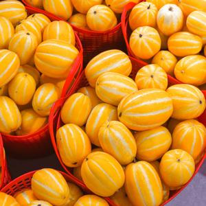 성주 꿀 참외 못난이 5kg 10kg