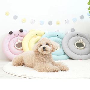 베프카라 강아지 고양이 목카라 넥카라 중성화 깔대기