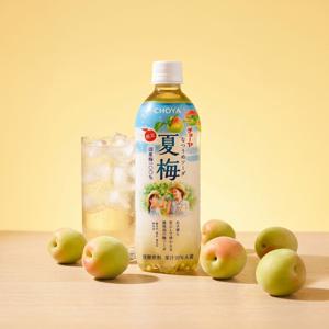 나츠우메소다 매실맛 탄산음료