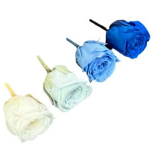 프리저브드플라워 블루계열 미니장미 4color