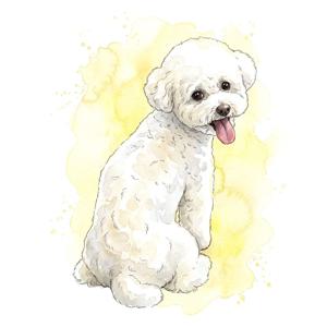 팝아트 초상화 커플 기념일 부모님 생일 결혼 선물 집들이 그림 주문제작 - 수채화 스타일