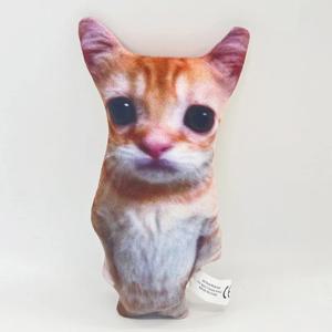 고양이 애착인형 밈 쿠션 동물인형 쇼파쿠션 쓸데없는 쓸모없는 웃긴 선물