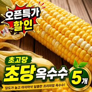 TEMU [오픈특가] 1년중 단1달판매 초고당 초당옥수수 5개(중품)
