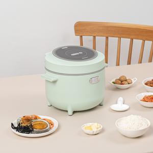 TEMU 라이녹스 컴팩트 라이스 쿠커 1~2인용