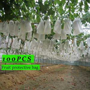 TEMU 100개 흰색 과일 보호 백, 통기성 PP 부직포 메시, 해충 및 새 방지, 포도, 파파야, 망고, 사과, 딸기용, 정원 식물 덮개