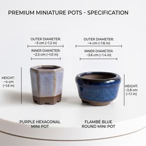 TEMU 2개 초미니 수제 굳은 토기 세라믹 다육 식물 화분, 감성적인 도장 플라워 포트 세트, 미니 선인장 화분, 데스크탑 사무실 장식에 적합, 간편한 홈 데코, 식물 애호가를 위한 귀여운 선물
