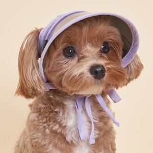 TEMU 도그아이 반려동물 UV차단 썬캡 모자