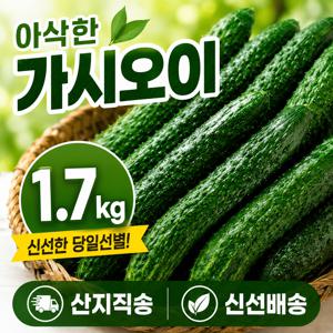 TEMU 아삭 가시오이 1.7kg 산지직송 신선오이