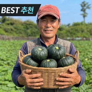 TEMU 제주직송 미니 밤호박